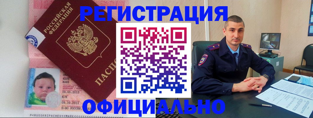 прописка поиск в Бийске